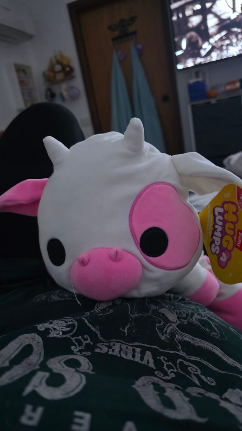 Customer photo review of Clover the Strawberry Cow Weighted HugaLump Animal Plush 1.5kg Medium