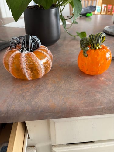 Customer photo review of Brilliant Yellow Pumpkin
