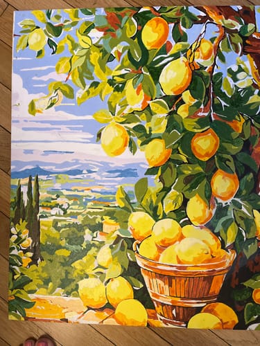 Customer photo review of Lemon tree with stunning view | Paint by Numbers