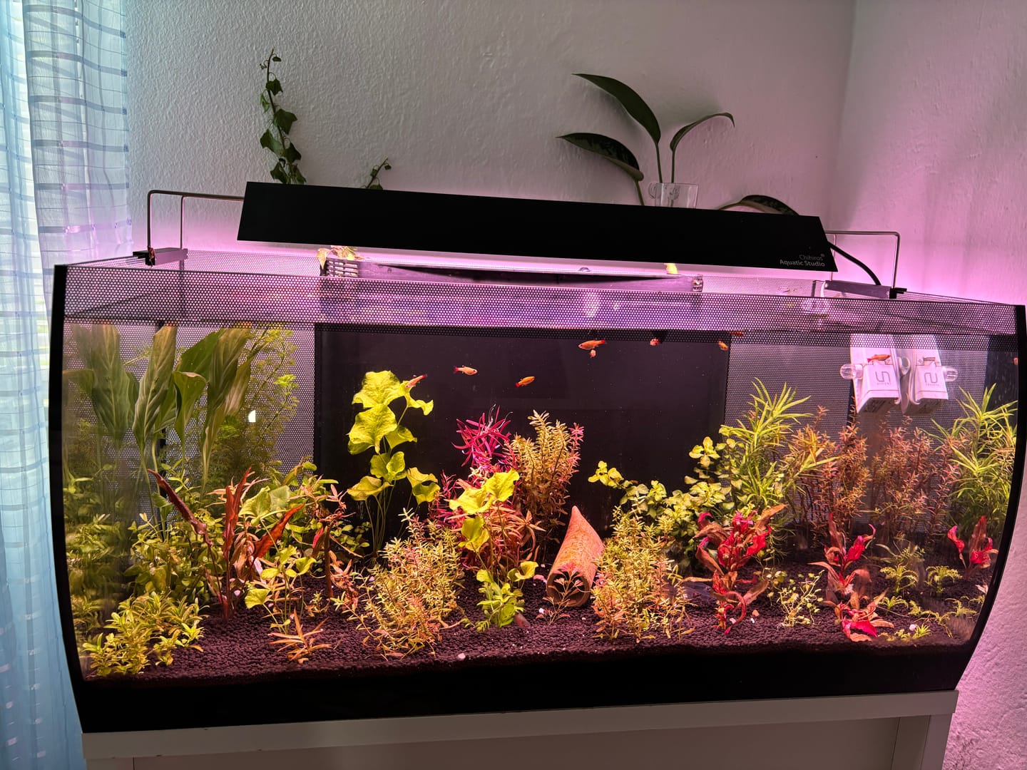 Customer photo review of Chihiros LED Lights Small Hanging Stand Kit