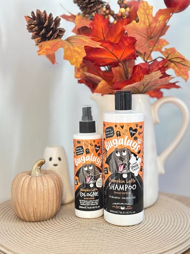 Customer photo review of Spooky Edition: Pumpkin Latte Bundle (Shampoo + Cologne)