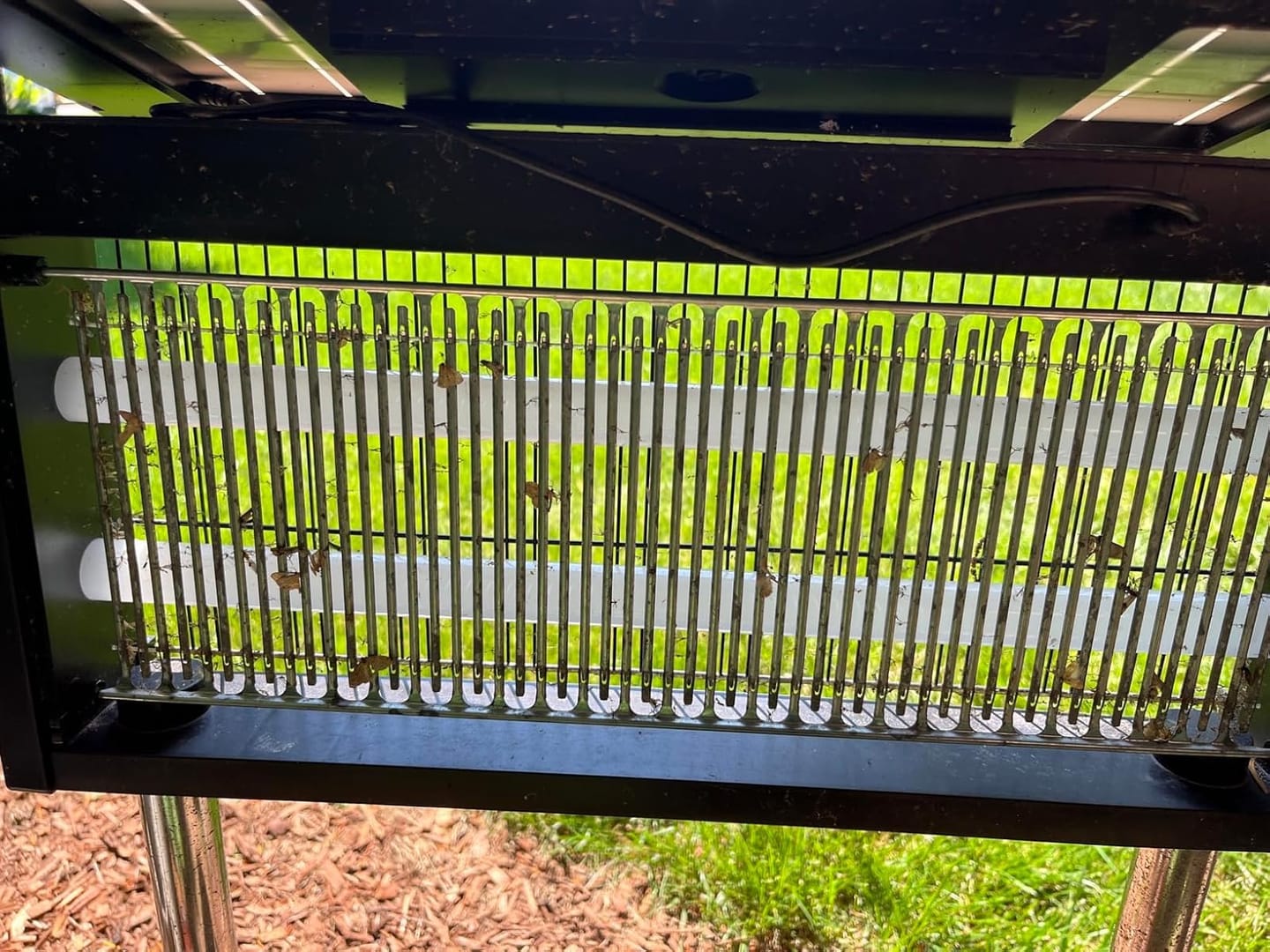Customer photo review of Upgraded Solar Bug Zapper Outdoor-20W Solar Panel
