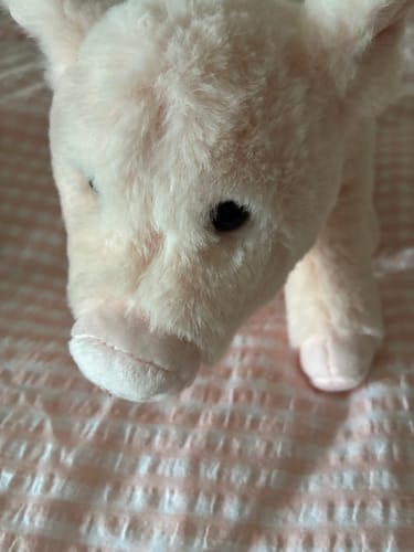 Customer photo review of Gris Bamse Trøffel | Hilda