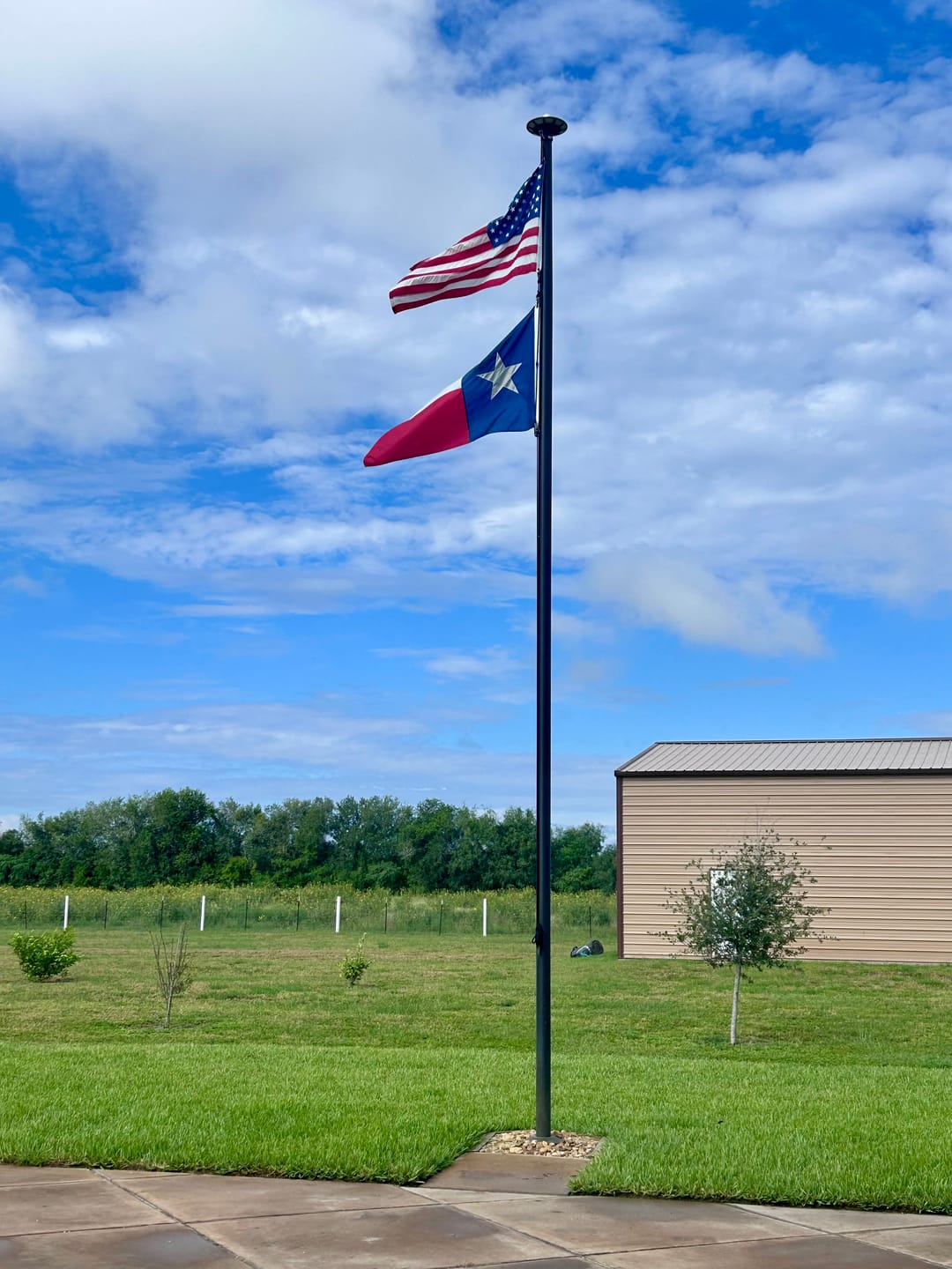Customer photo review of 3' x 5' Texas Flag