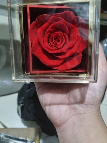 Customer photo review of Ewige Rose Box - Mit Personalisierter Halskette Und Echter Rose