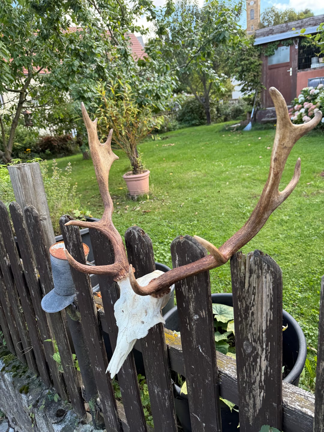 Customer photo review of Salzspray Apfel - Lockmittel Rehwild, Schwarzwild, Rotwild und Damwild