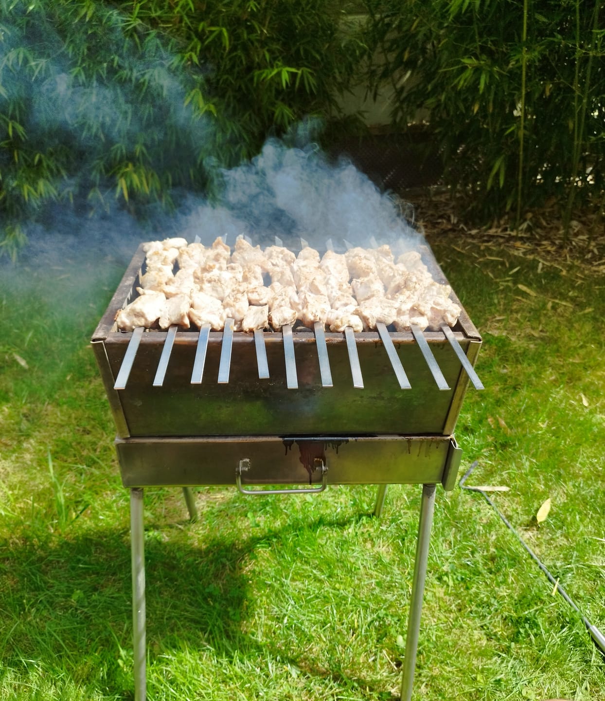 Customer photo review of Schweine-Schaschlik Klassiker – mit Zwiebeln, Pfeffer & Essig | mySchaschlik