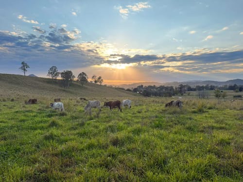 Customer photo review of Digital Photo Frame