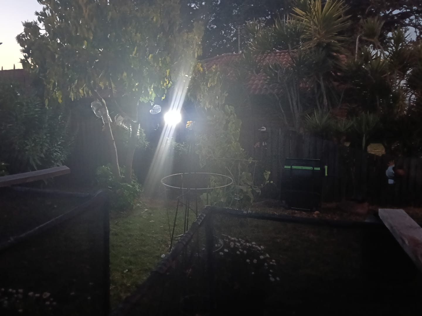 Customer photo review of SolaGarden™ 3 Head Motion Light