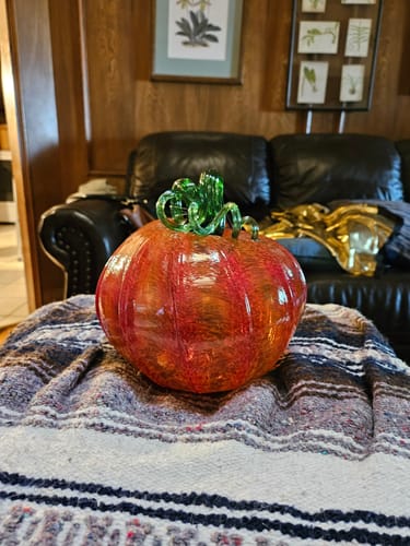 Customer photo review of Daily Pumpkin 1825 Large