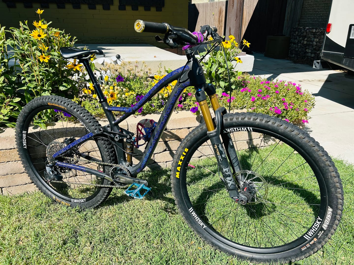 Customer photo review of Snake Charmer Frame Keeper