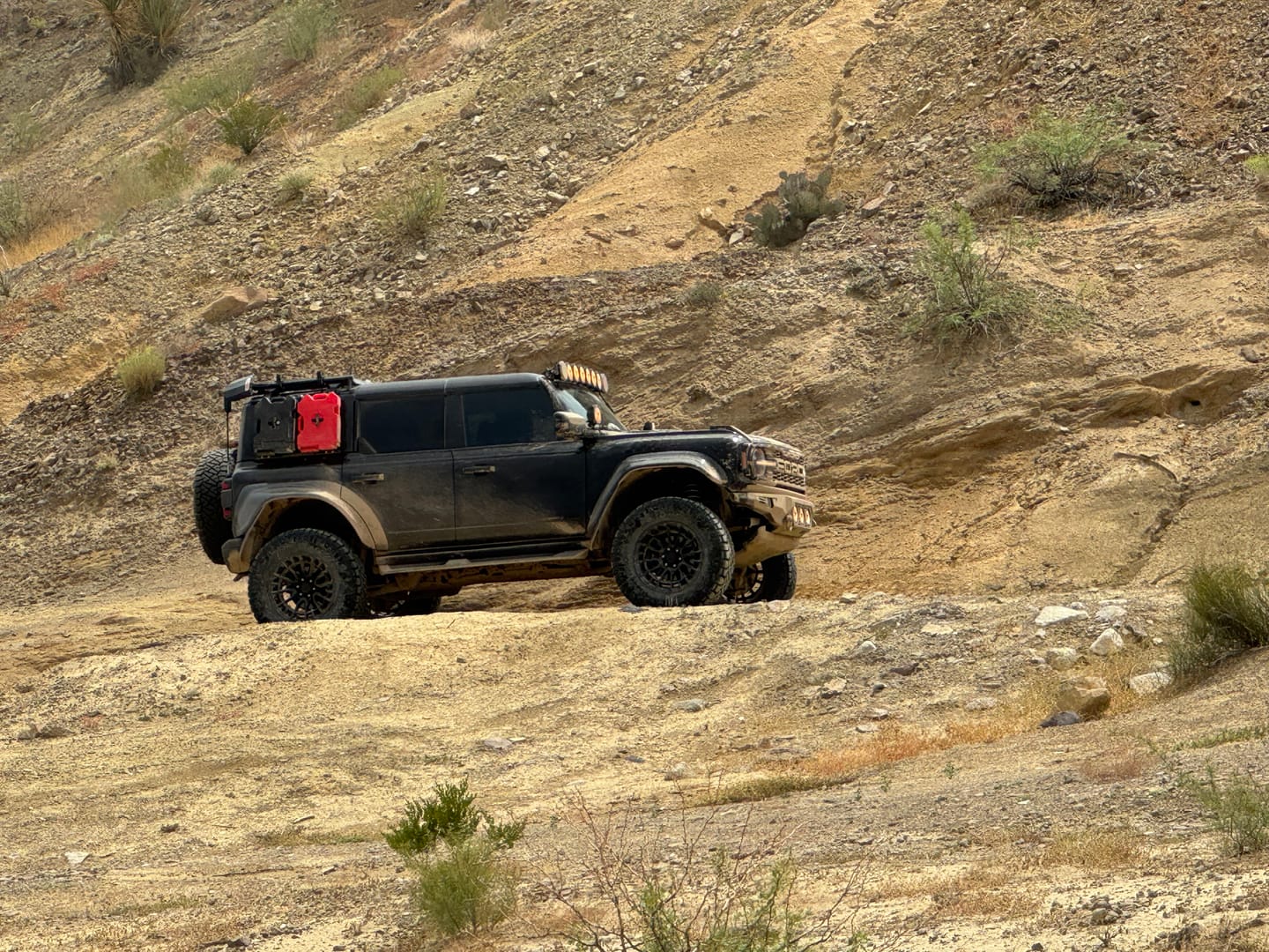 Customer photo review of Modular Half Rack For The Ford Bronco