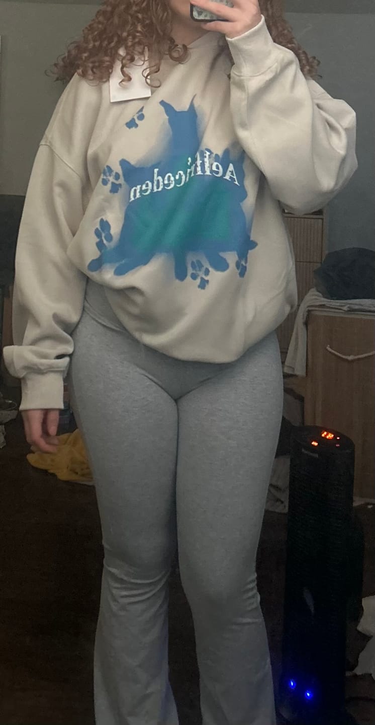 Customer photo review of Aelfric Eden Oversized Blurring Doberman Graphic Hoodie