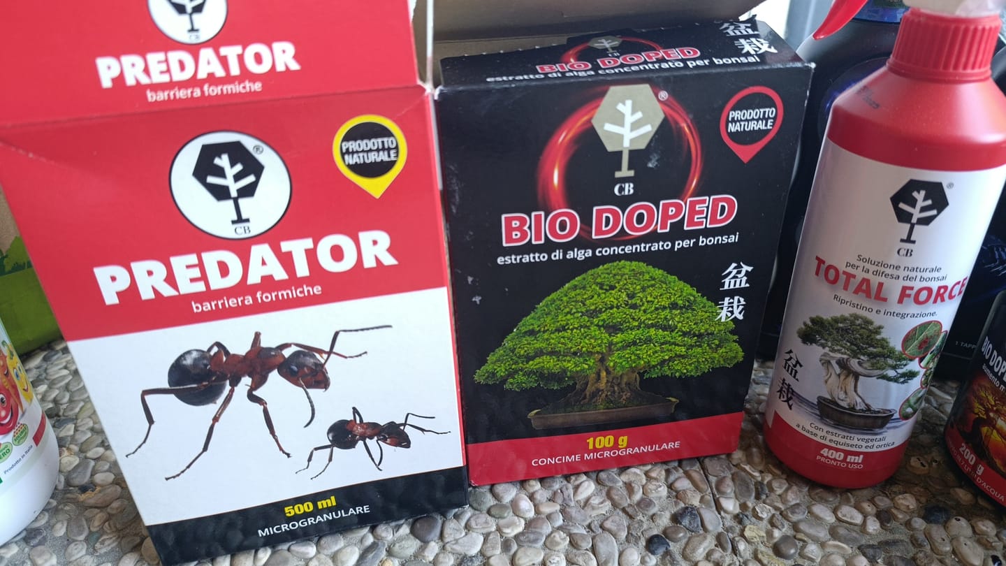 Customer photo review of PREDATOR CB® (barriera formiche)