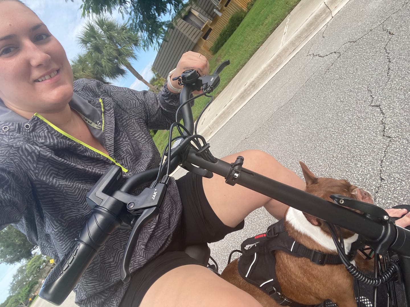 Customer photo review of Gyroor 1000W Foldable Electric Scooter – Seat, Dual Baskets, Long Range
