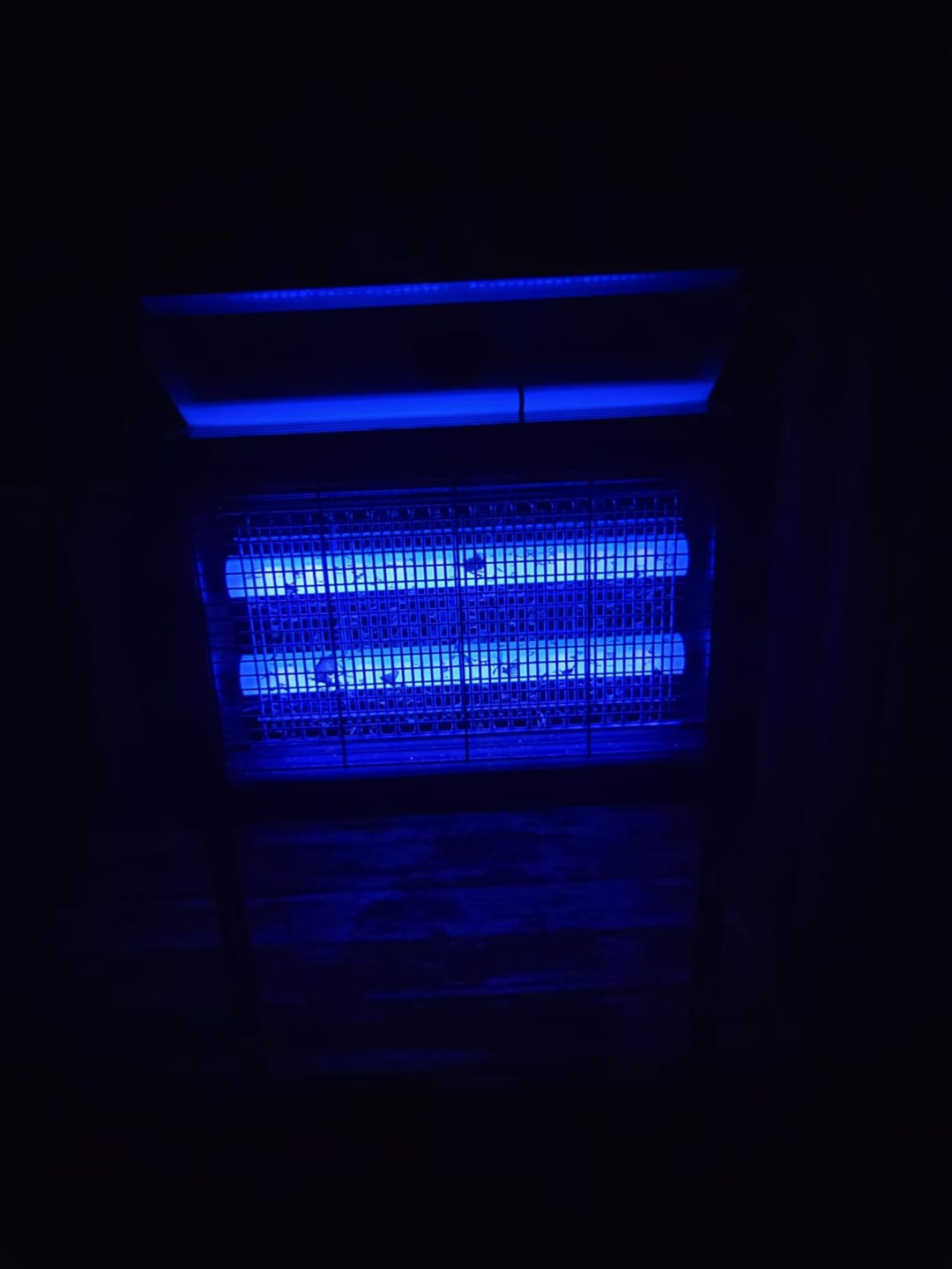 Customer photo review of Upgraded Solar Bug Zapper Outdoor-20W Solar Panel