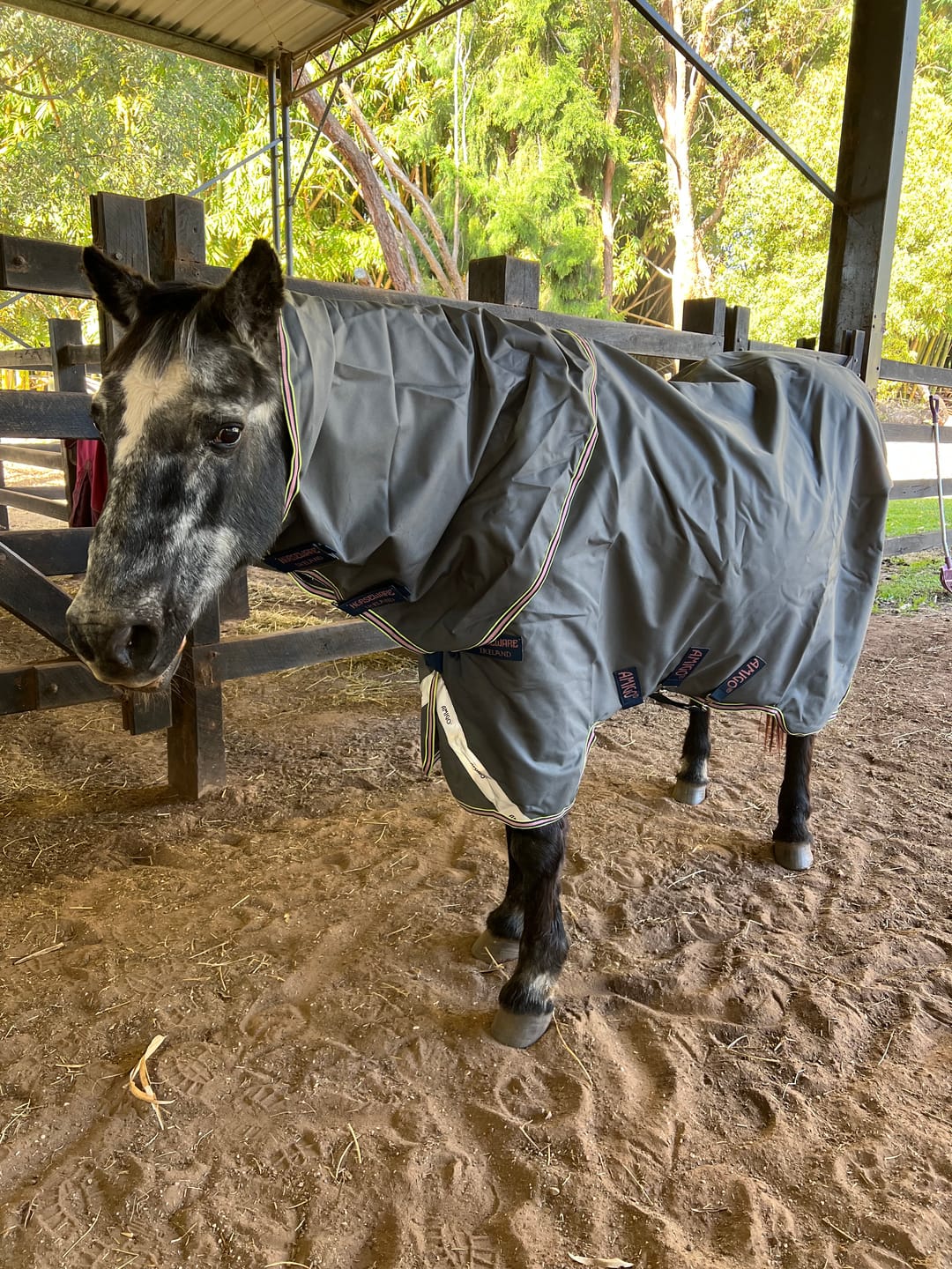 Customer photo review of Amigo 1200D Plus Turnout 0g