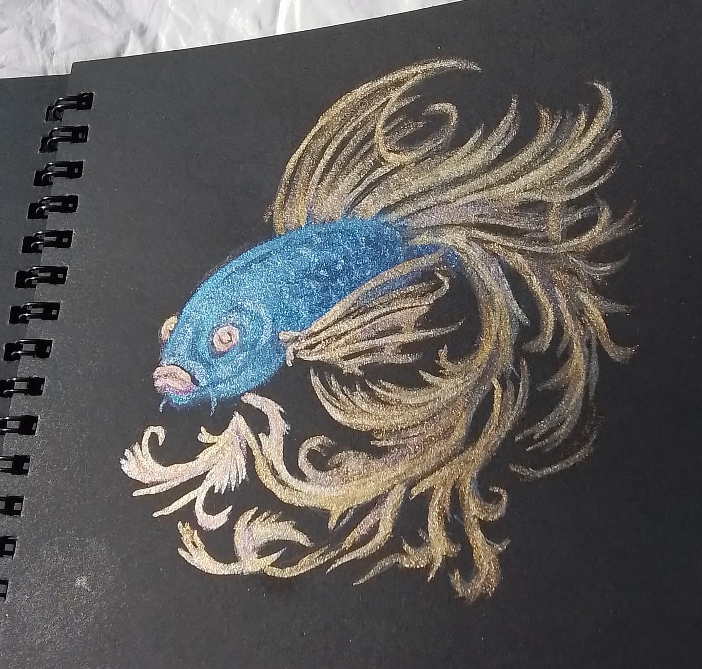 Customer photo review of Jewels of the Sky Set