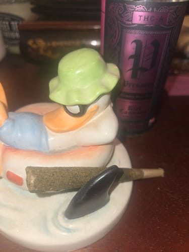 Customer photo review of 2g PRESSURE KIEF CANNON PREROLLS | Gummy Bear Pop | Sativa