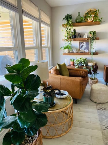 Customer photo review of Plant Food