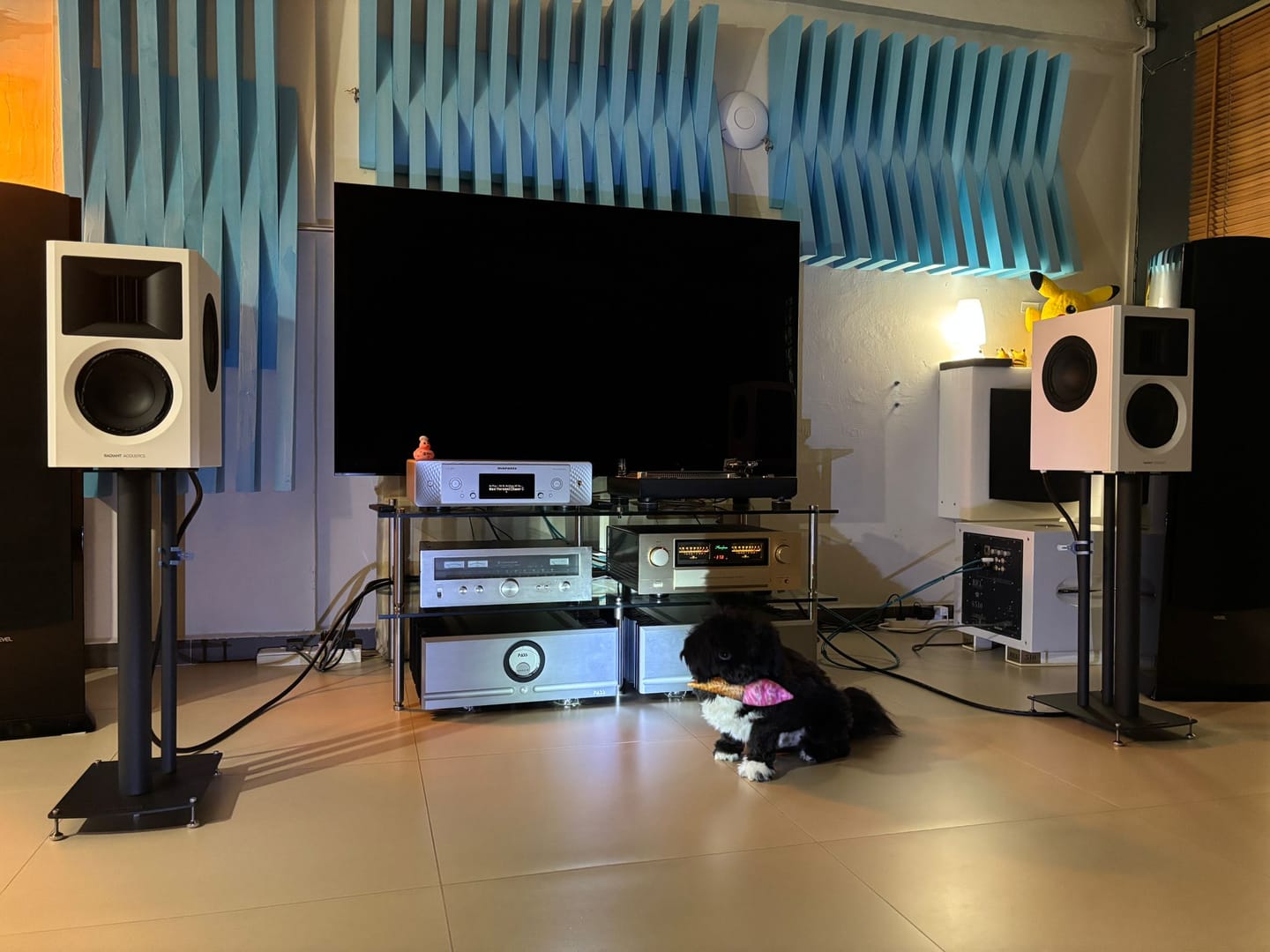 Customer photo review of Clarity 6.2