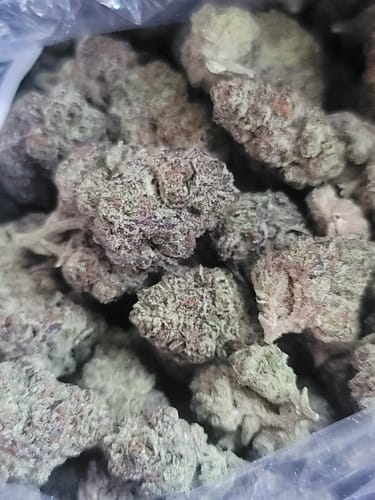 Customer photo review of Lava Cake - Bulk - Indica