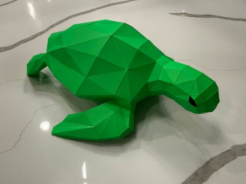 Customer photo review of Sea Turtle 3D Model