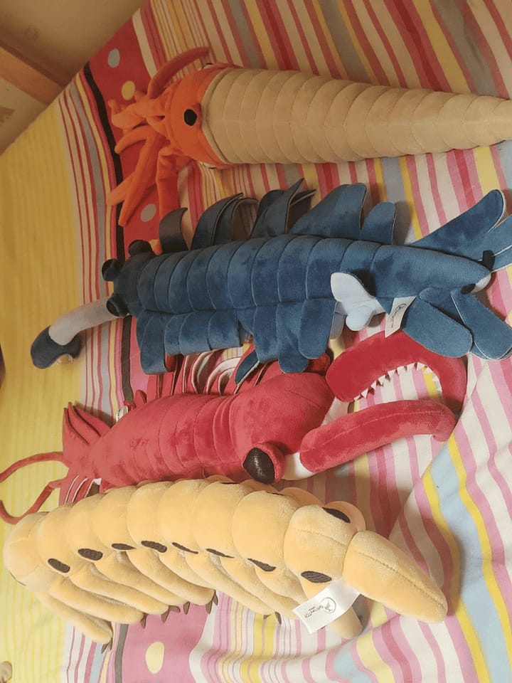 Customer photo review of Realistic Anomalocaris Cambrian Predator Plush – Soft, Striking, and Perfect for Prehistoric Enthusiasts