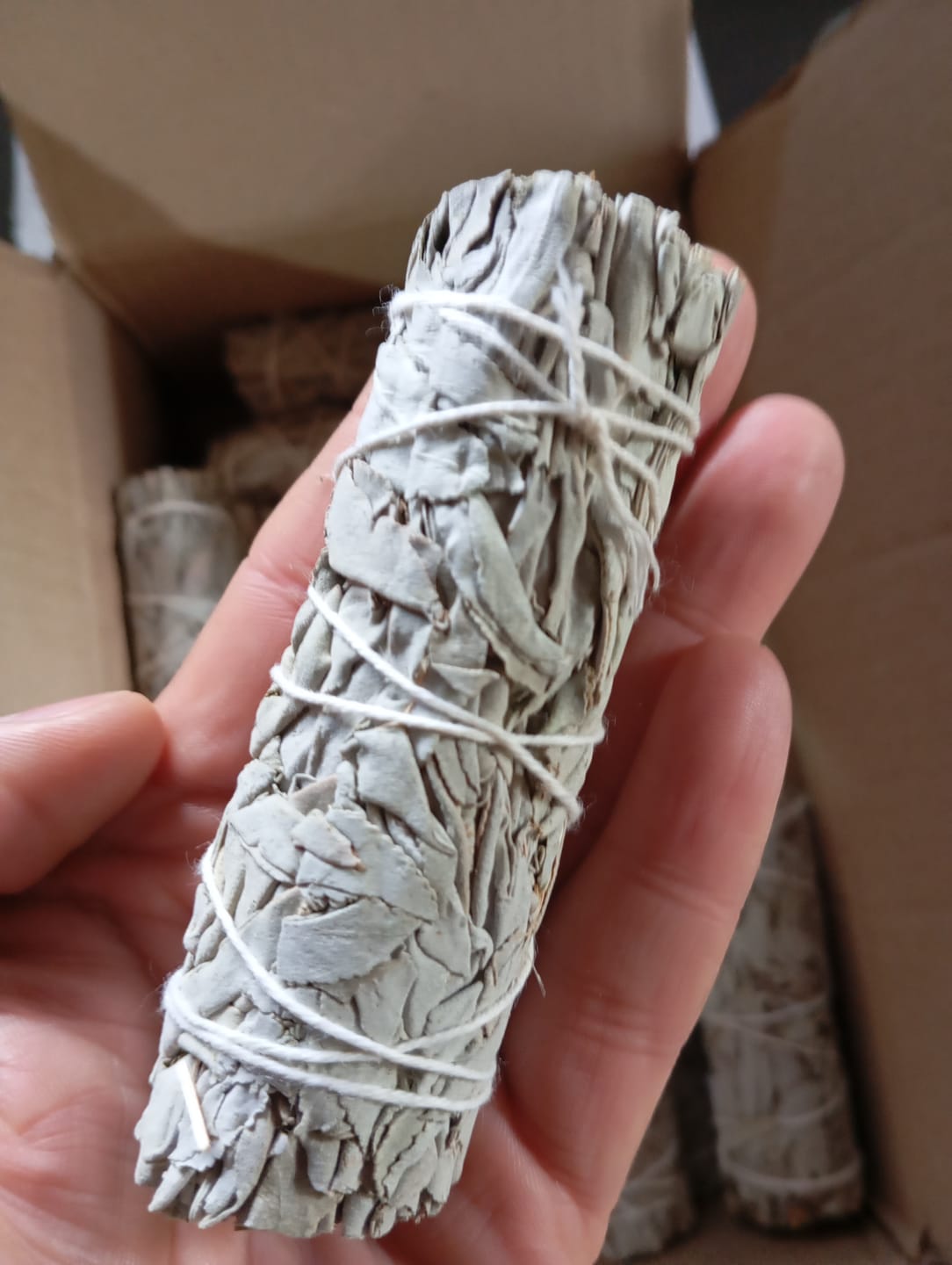 Customer photo review of Salvia Blanca Californiana