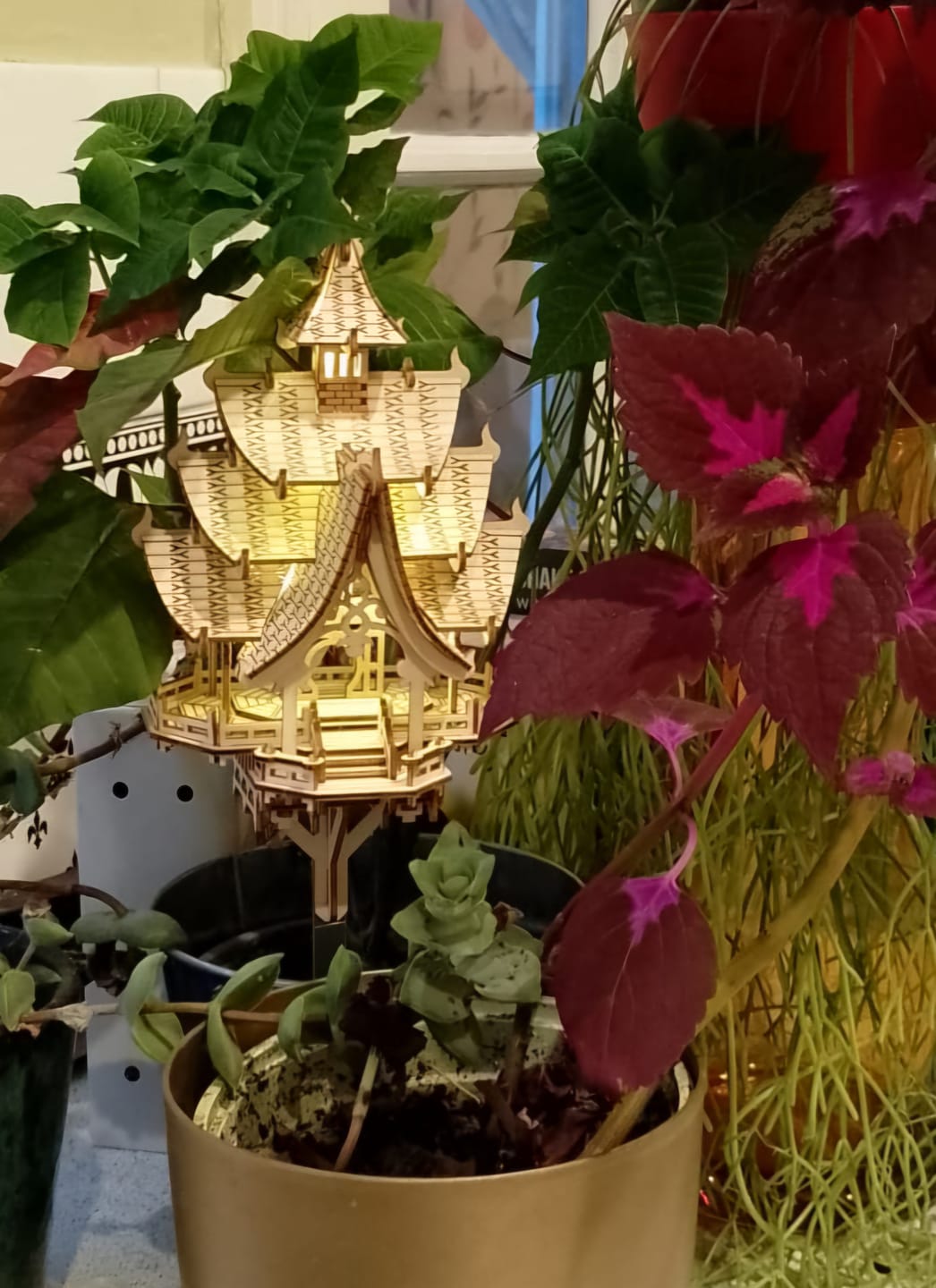 Customer photo review of Temple of Joy