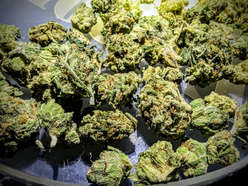 Customer photo review of Blue Dream - 28 Grams Littles - Sativa