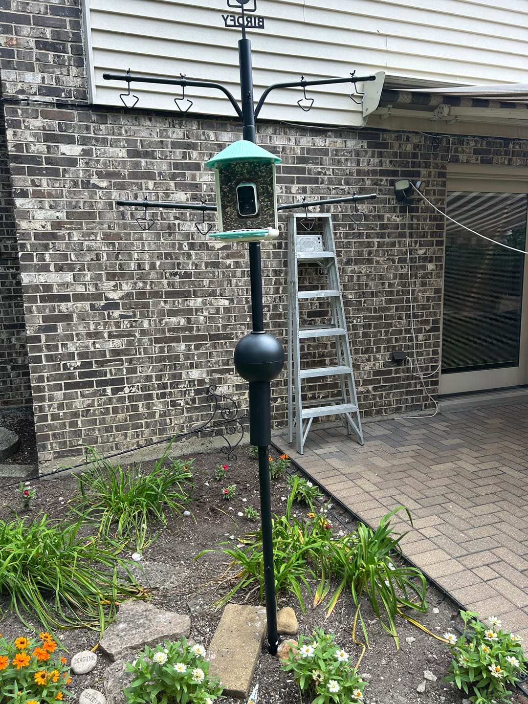 Customer photo review of Birdfy Pole - Bird Feeder Pole