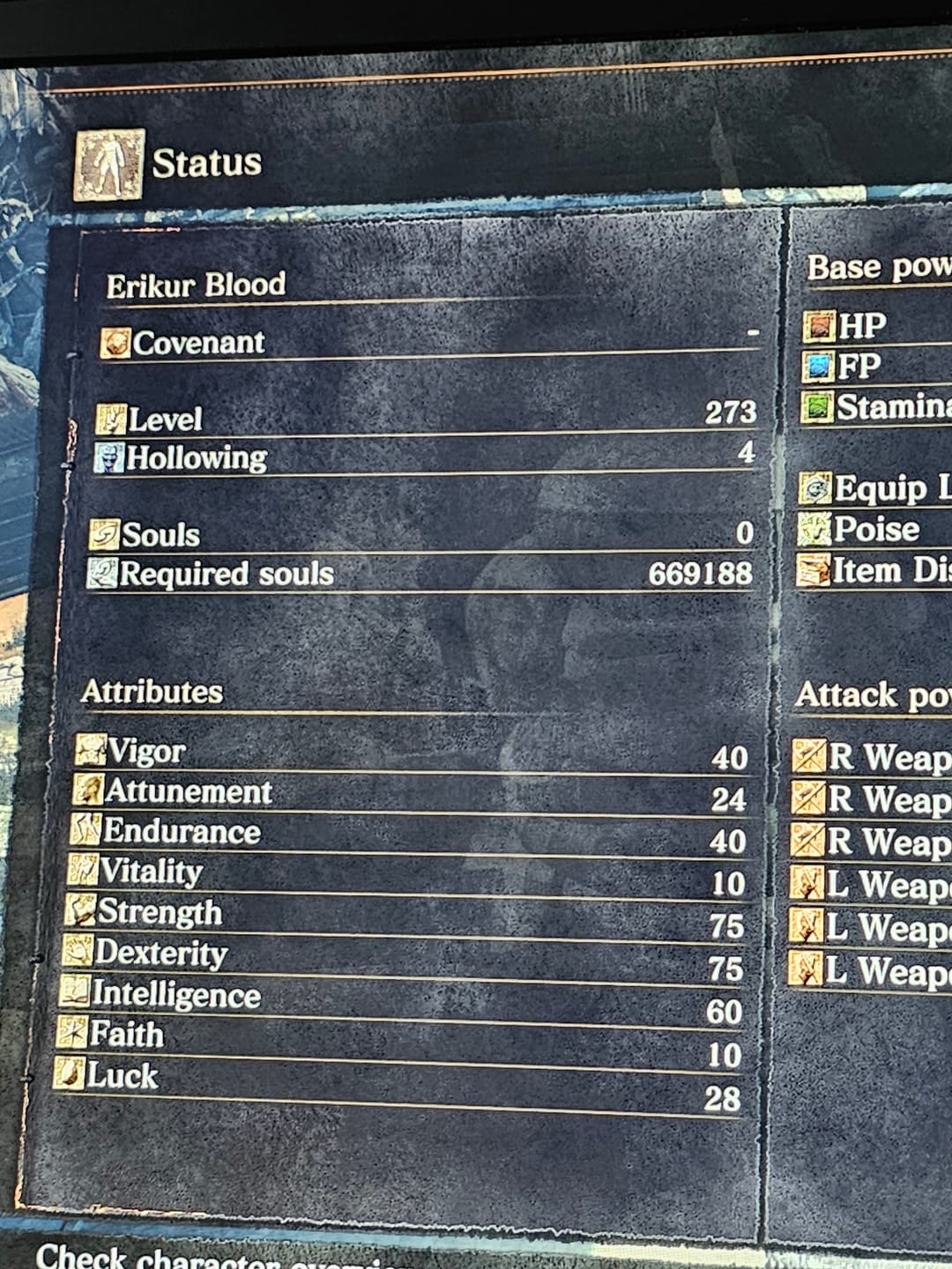 Customer photo review of Dark Souls 3 Items & Souls