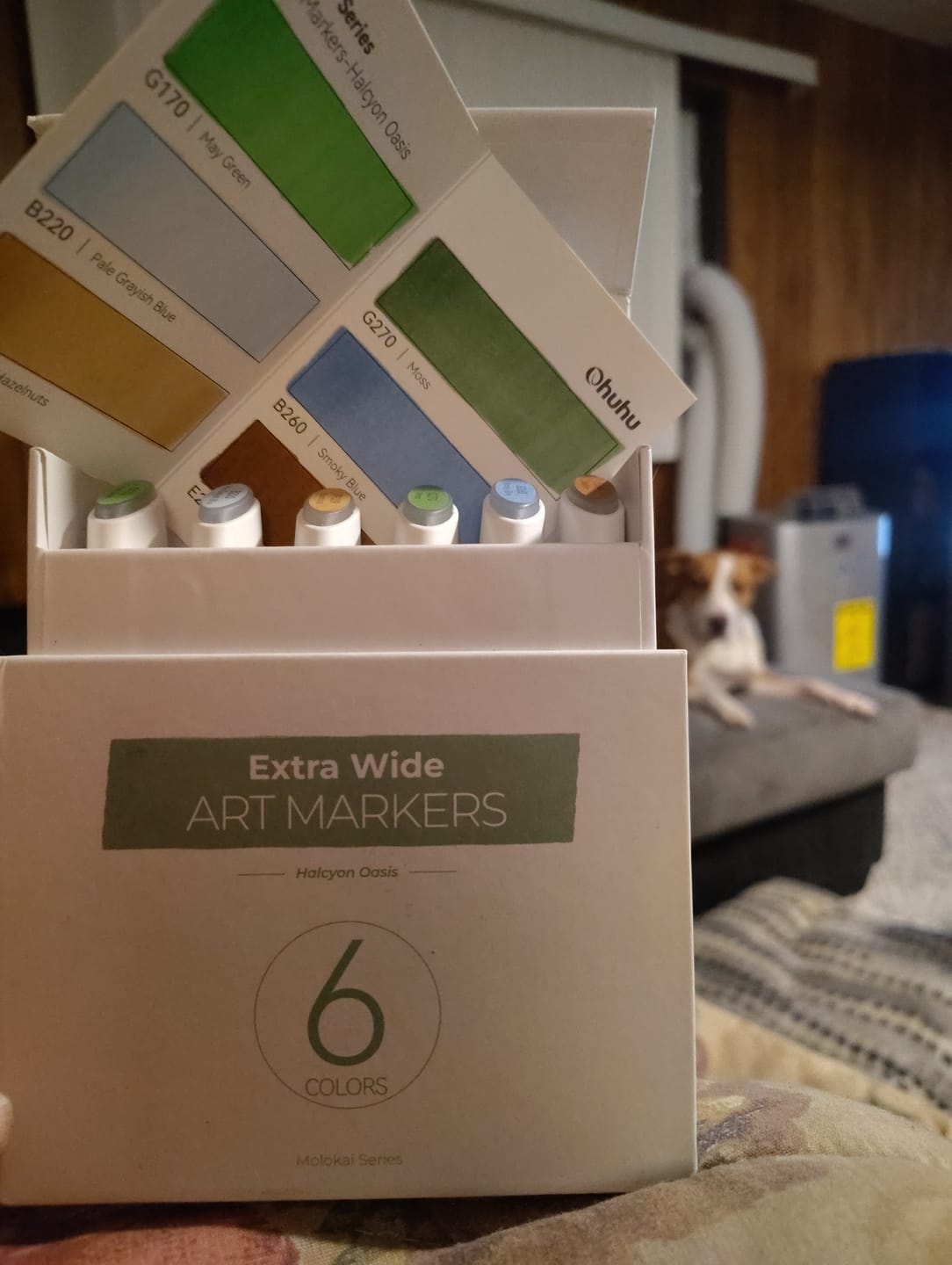 Customer photo review of Ohuhu Molokai Four Tones Extra-wide Tip Alcohol Art Markers