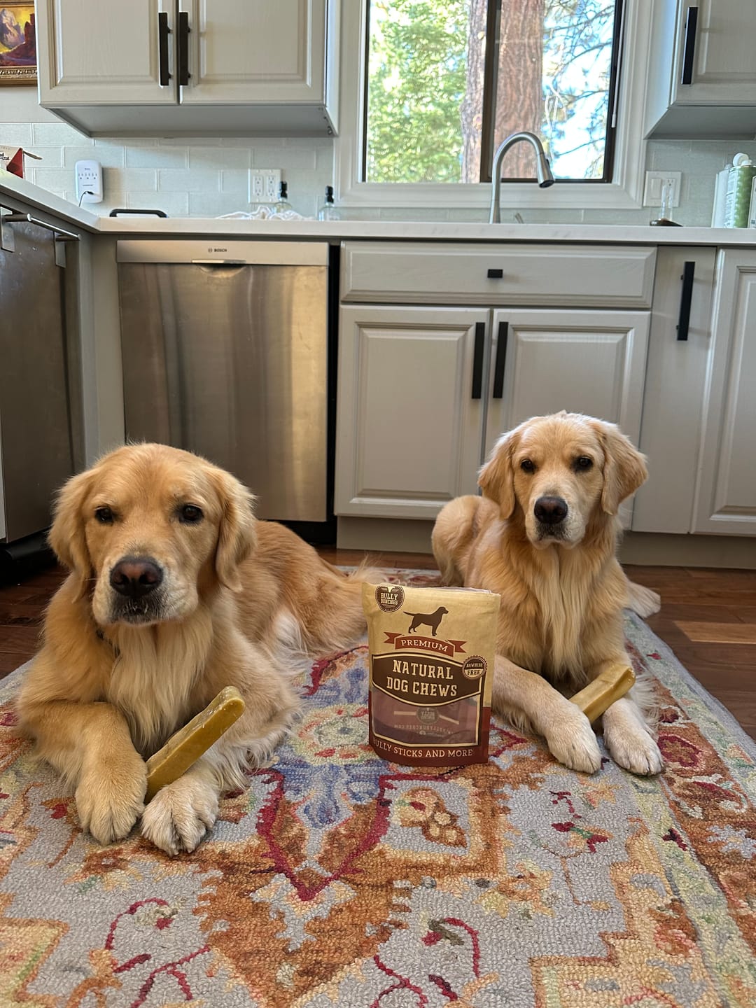 Customer photo review of Himalayan Yak Chew (EXTRA LARGE)