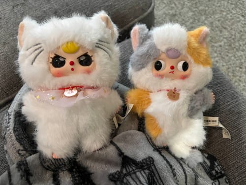Customer photo review of Baby Three Whose Cat Am I Series Plush Blind Box