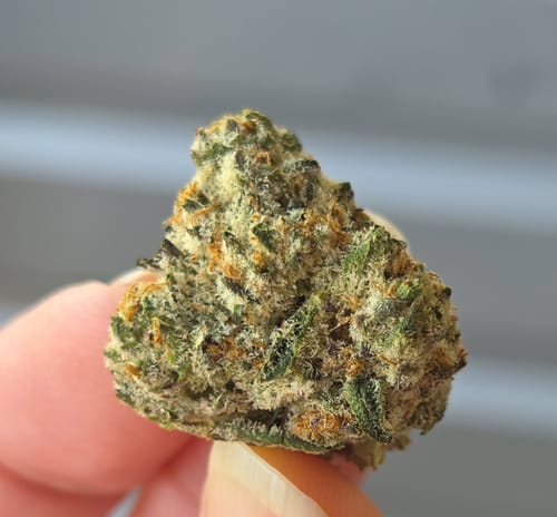 Customer photo review of Lemon Cherry Runtz