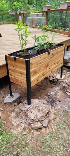 Customer photo review of 18" x 48" Raised Garden Bed - 30" TALL