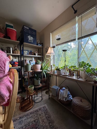 Customer photo review of Pink Plushie: Where Soft Self-Care Begins