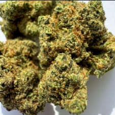 Customer photo review of Fume Mango Kush – 1g Premium THCA Hybrid Flower