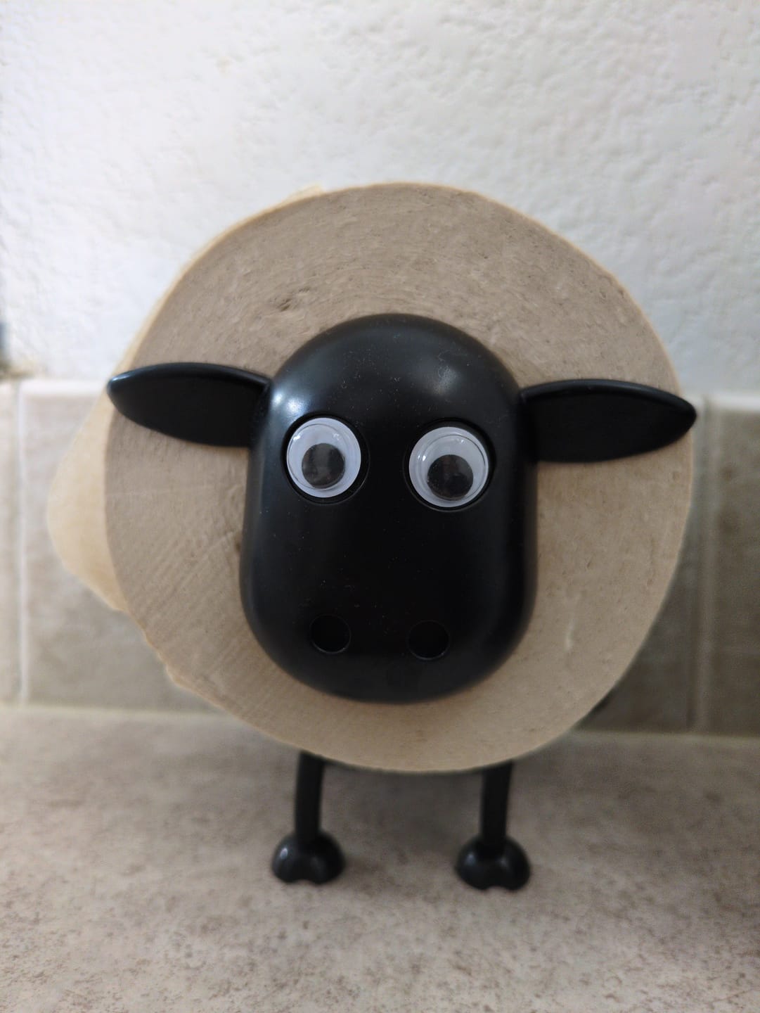 Customer photo review of Essential Toilet Paper 12 Single Roll Box