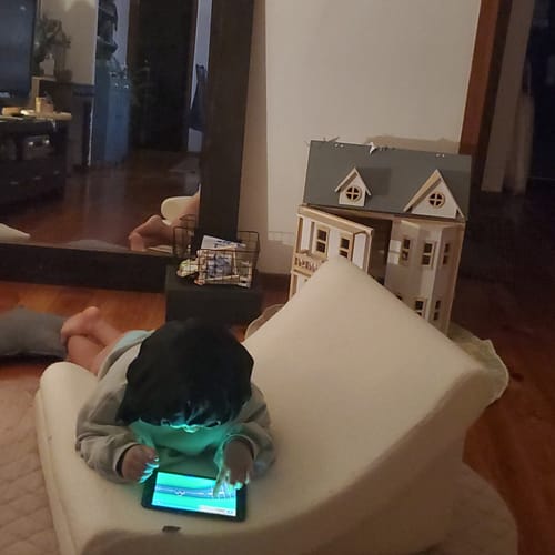 Customer photo review of The Comet Lounger