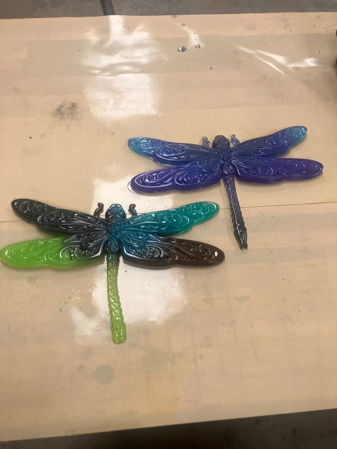 Customer photo review of 10.2x7.0x0.6" Dragonfly Relief 1 Silicone Mold