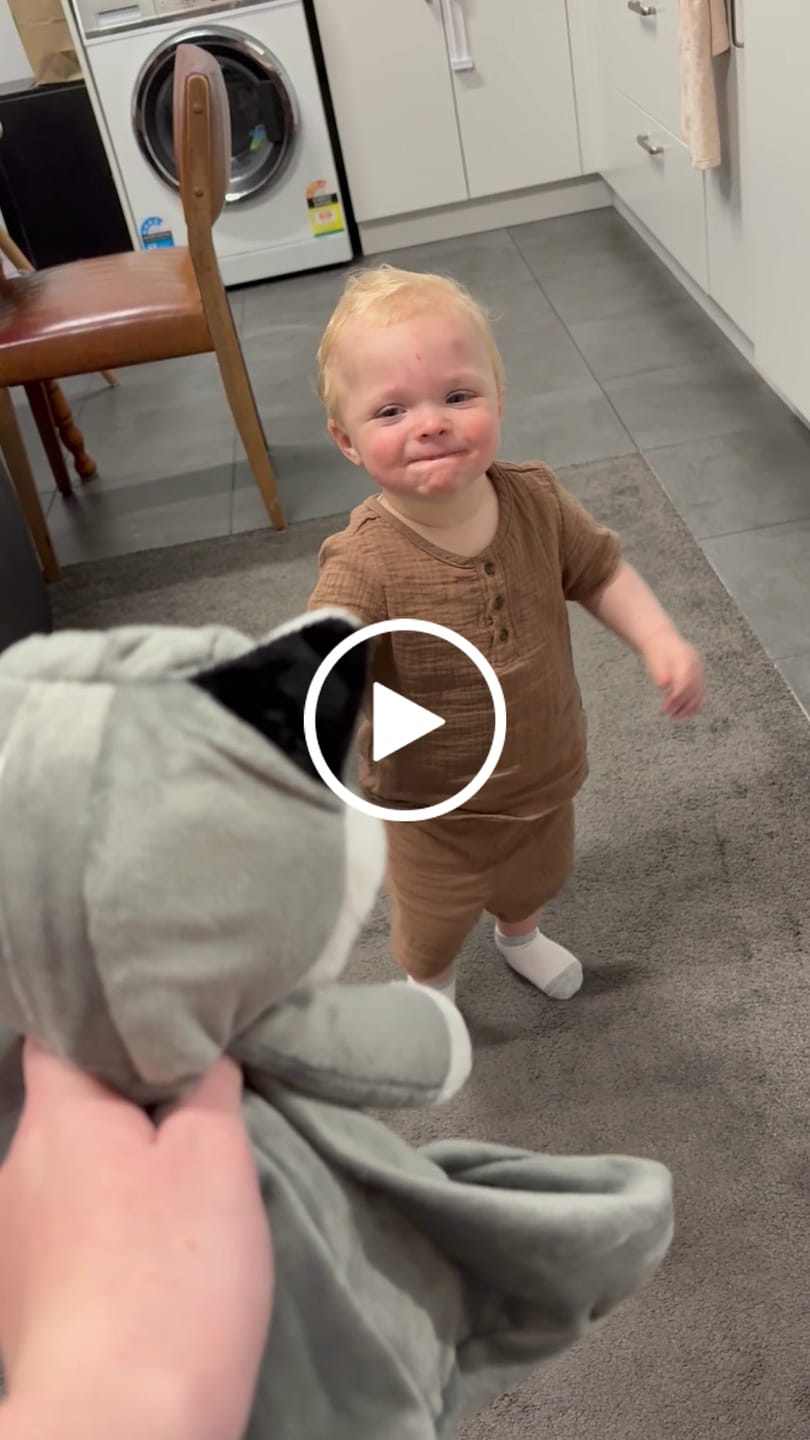 Customer video review of Harli the Husky
