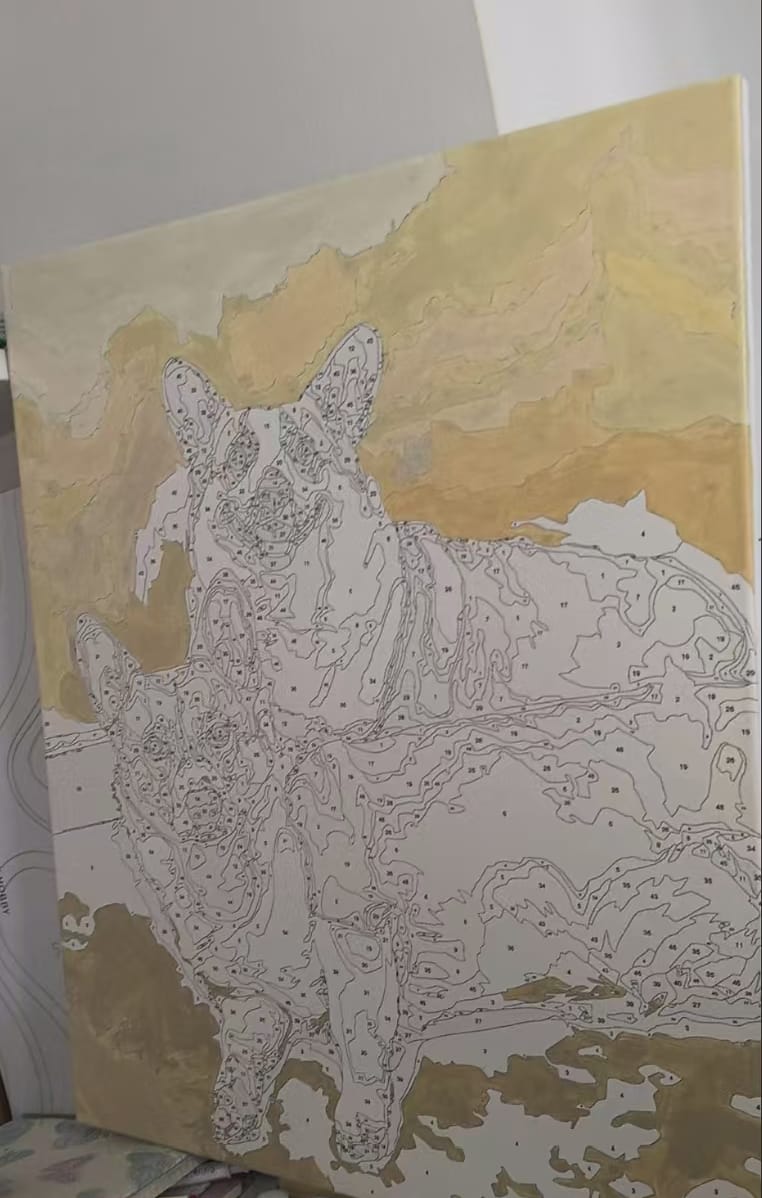 Customer photo review of Custom DIY Pet Painting By Numbers