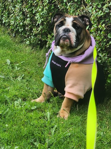 Customer photo review of Color Block Human Hoodies