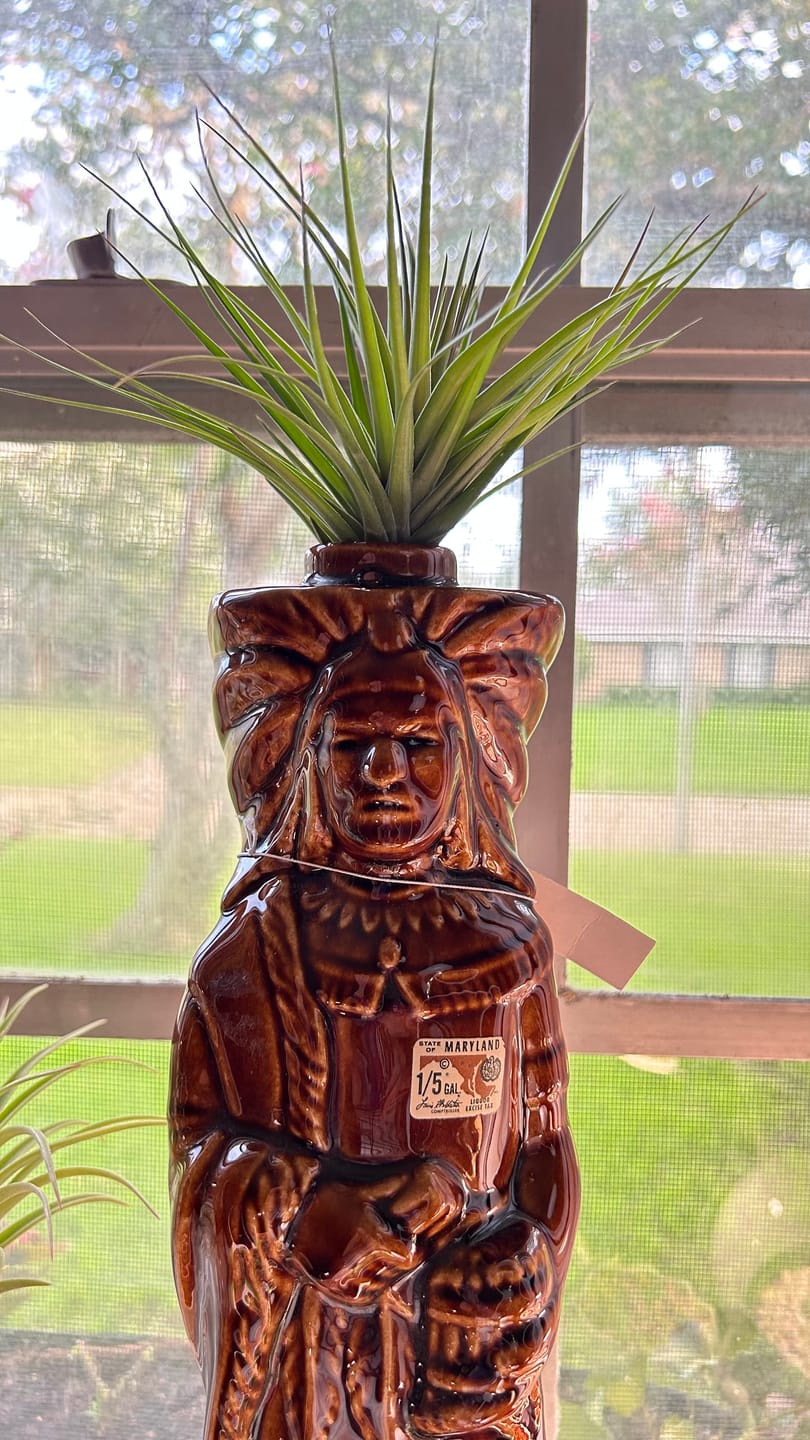 Customer photo review of Tenuifolia Purple Fan  (Stacked Form)