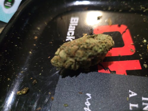 Customer photo review of Blue Dream - 4 Grams - Sativa
