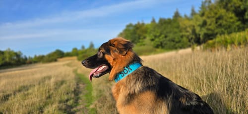 Stacey B. review of Personalisation Fee £8.99 image 1 out of 1