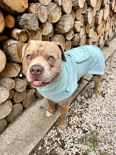 Customer photo review of Anxiety Calming Suit - Teal